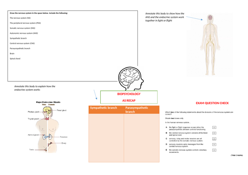 AQA Psychology- Biopsychology, Nervous System AS- What have you understood? A3 worksheet