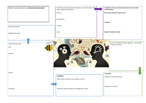 AQA GCSE Psychology- Language, thought and communication- A3 revision sheets