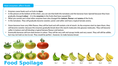 AQA GCSE Food Preparation  & Nutrition Section 3 Lesson 2: Signs of Food Spoilage