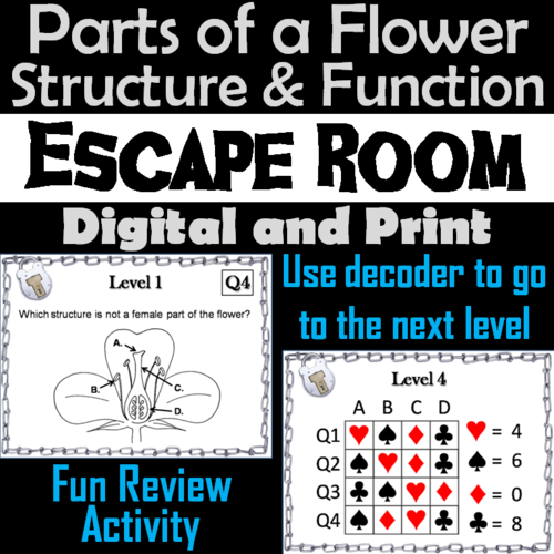 Parts of a Flower Activity: Escape Room - Science