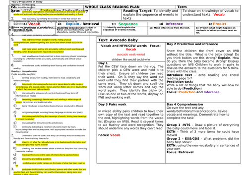 Whole Class Reading Avocado Baby Planning and Resources Year 2