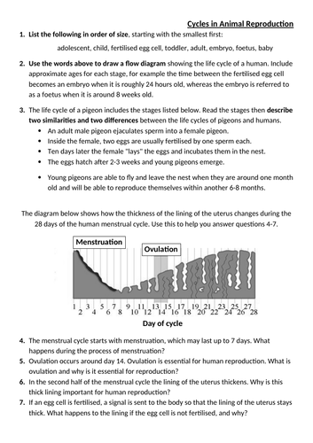 7Be Reproductive Cycles worksheet with answers