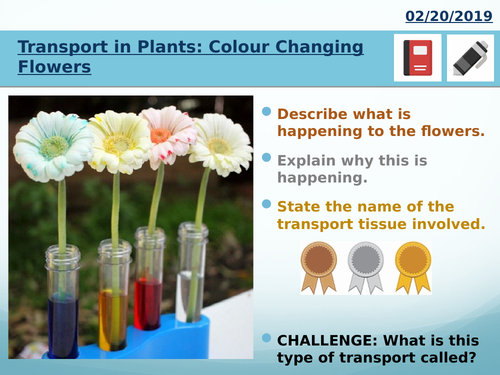 GCSE 9-1 Biology Science Transpiration Full Lesson