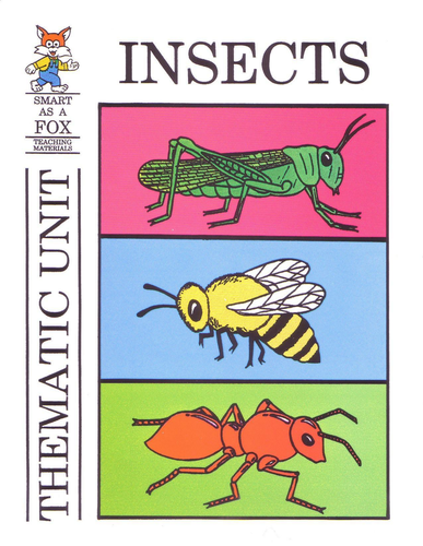 Insect Thematic Unit
