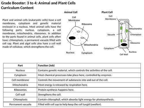 AQA Science: Cells Revision: Grade Booster Level 3 to 4