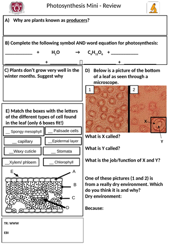 Science Y7 mini reviews/ quiz for marking