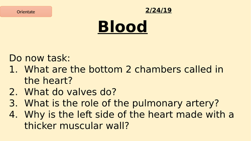 Circulatory System  AQA
