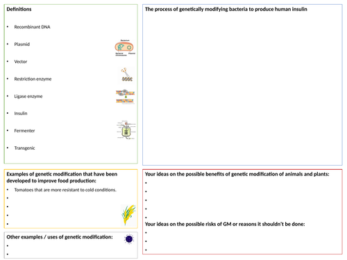 GCSE genetic modification revision poster for iGCSE Edexcel