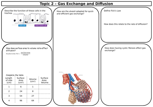 SNAB Biology Topic 2 Revision Sheets