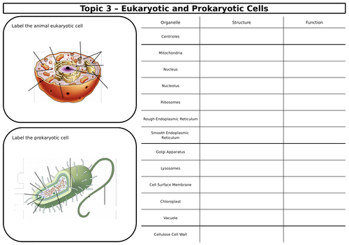 SNAB Biology Topic 3 Revision Sheets