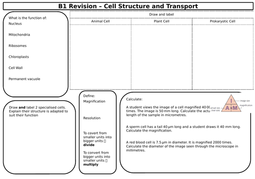 New 9-1 Triple Biology GCSE Paper 1 Revision Sheets