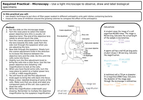 New 9 1 Biology Gcse Required Practical Revision Teaching Resources 2580