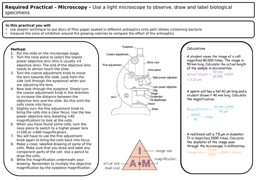 New 9-1 Biology GCSE Required Practical Revision