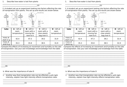 AQA GCSE Xylem, Phloem and Rate of Transpiration