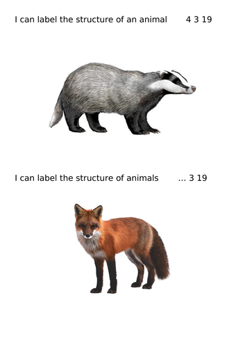 Labeling and comparing animals for KS1