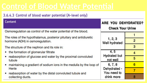 AQA A Level Biology (Osmoregulation)
