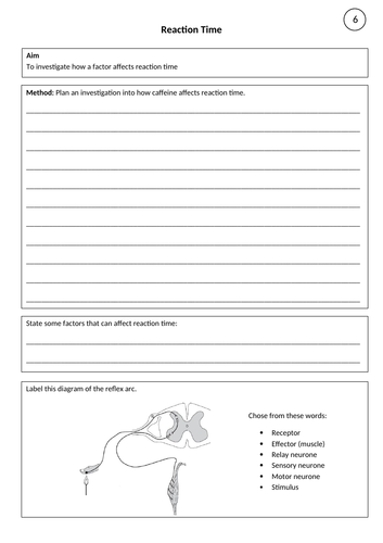 Reaction Time Required Practical AQA GCSE Science