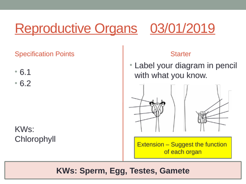 ks3 year 7 reproduction scheme of work teaching resources