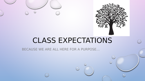 Class expectations