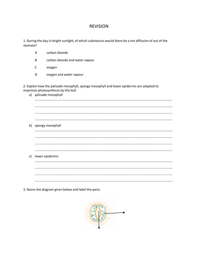 Biology Plant Diffusion and Osmosis