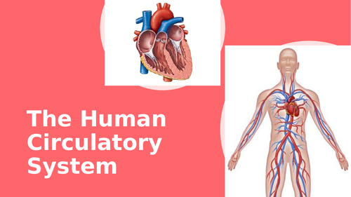 The Human Circulatory System | Teaching Resources