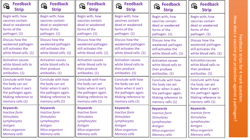 Feedback strip on Vaccination