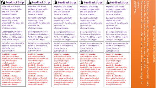 Feedback strip Waste pollution 6 mark question.