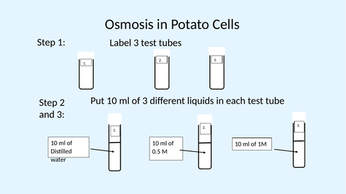 Lower ability  simplified potato osmosis practical