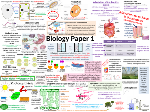 Aqa Gcse Biology Paper 1 Revision Booklet Teaching Re 3476