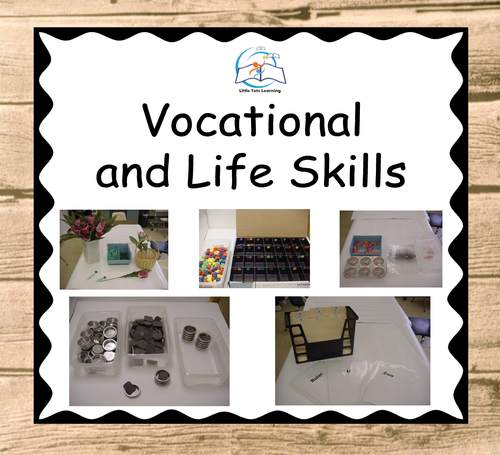Vocational Life Skills | Vocational Skills | Special Education
