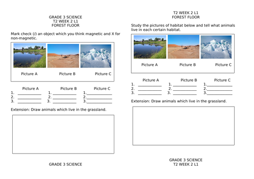 Magnetic and Non-Magnetic, Vertebrate and Non-Vertebrate Animals