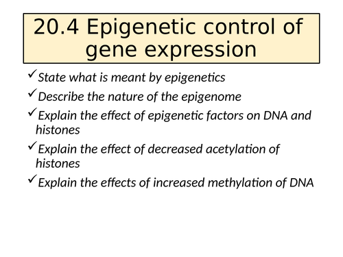 AQA A Level Epigenetics