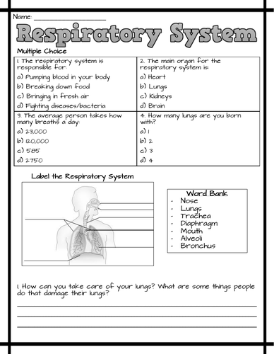 respiratory system worksheets teaching resources