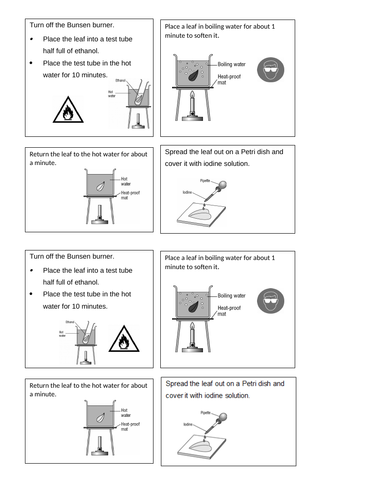 Testing A Leaf For Starch Experiment With Differentiated Literacy Task Teaching Resources