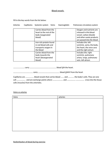 Blood vessels work sheet OCR GCSE PE