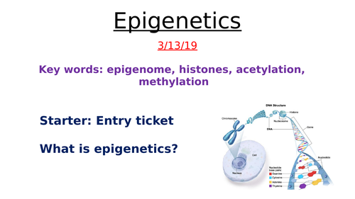 Epigenetics and siRNA- AQA Biology A level
