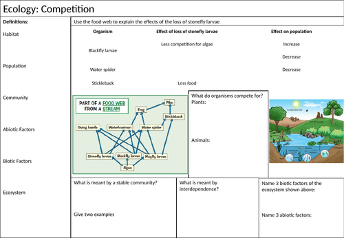 Competition Learning Mat