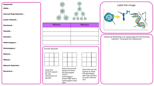 Inheritance and Variation Revision Mat