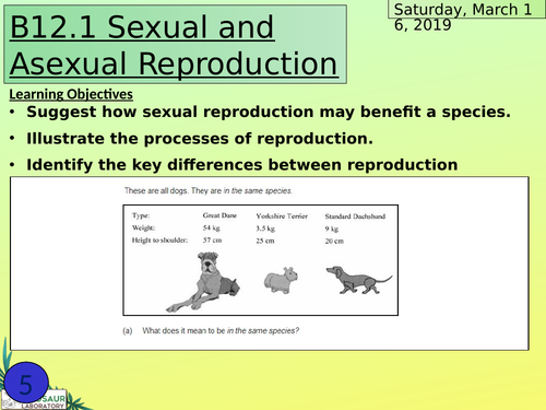 Ks4 B121 Sexual And Asexual Reproduction Teaching Resources 6301