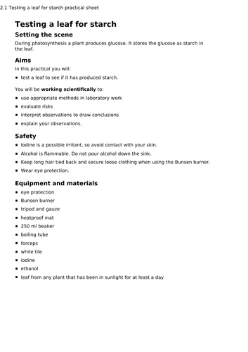 Testing a leaf for starch photosynthesis