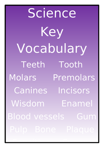 Key Vocabulary Posters for All Main Subjects