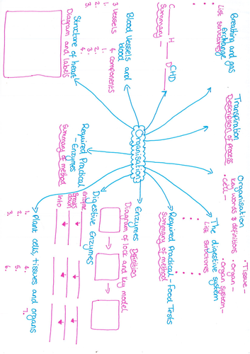 Organisms Revision Mat