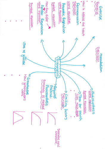 Bioenergetics Revision Mat