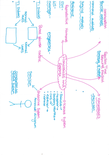 Homeostasis revision mat