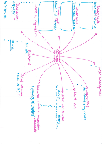 Ecology Revision Mat