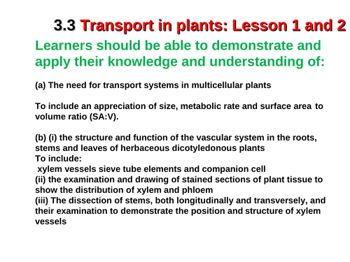 OCR A-level A 3.3 Plant transport resource bundle - ALL lessons and exam questions included!