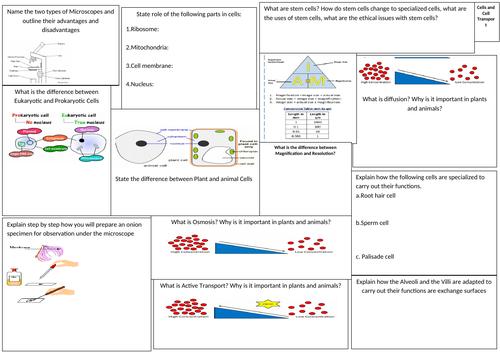 Cells Microscopy and Cell Transport MAT