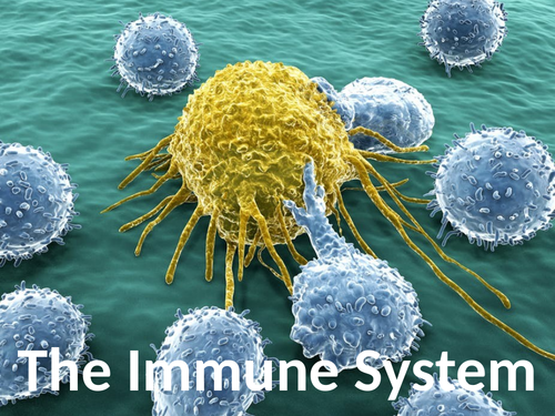 AS/A2 Level Year 12/13 Immune System Immunity Full Lesson Presentation