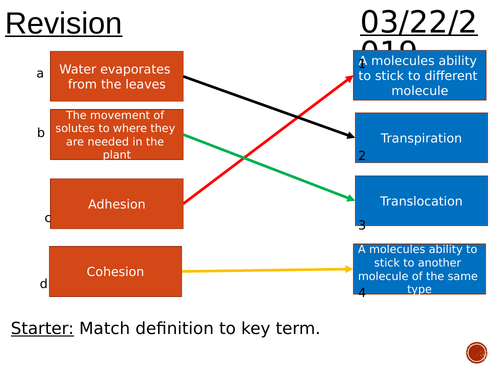 Revision transpiration translocation