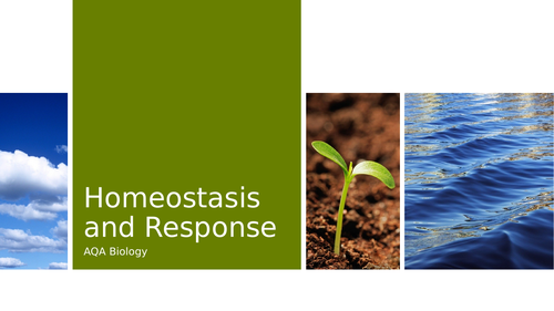 AQA Homeostasis and Response Revision